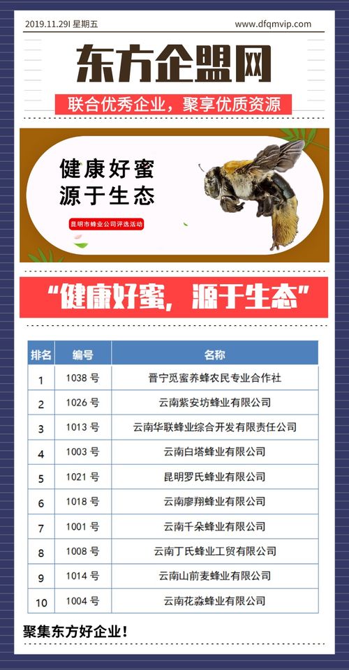 健康好蜜，源于生態(tài)——昆明市蜂業(yè)公司評選活動信息技術(shù)咨詢服務(wù)方案