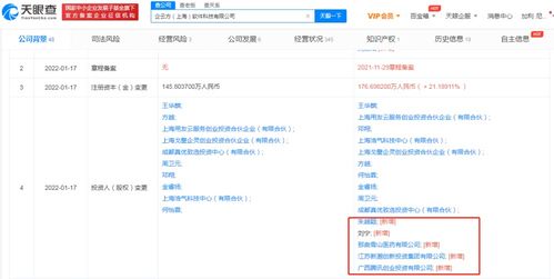 信息技術(shù)咨詢服務(wù)的價值與未來發(fā)展